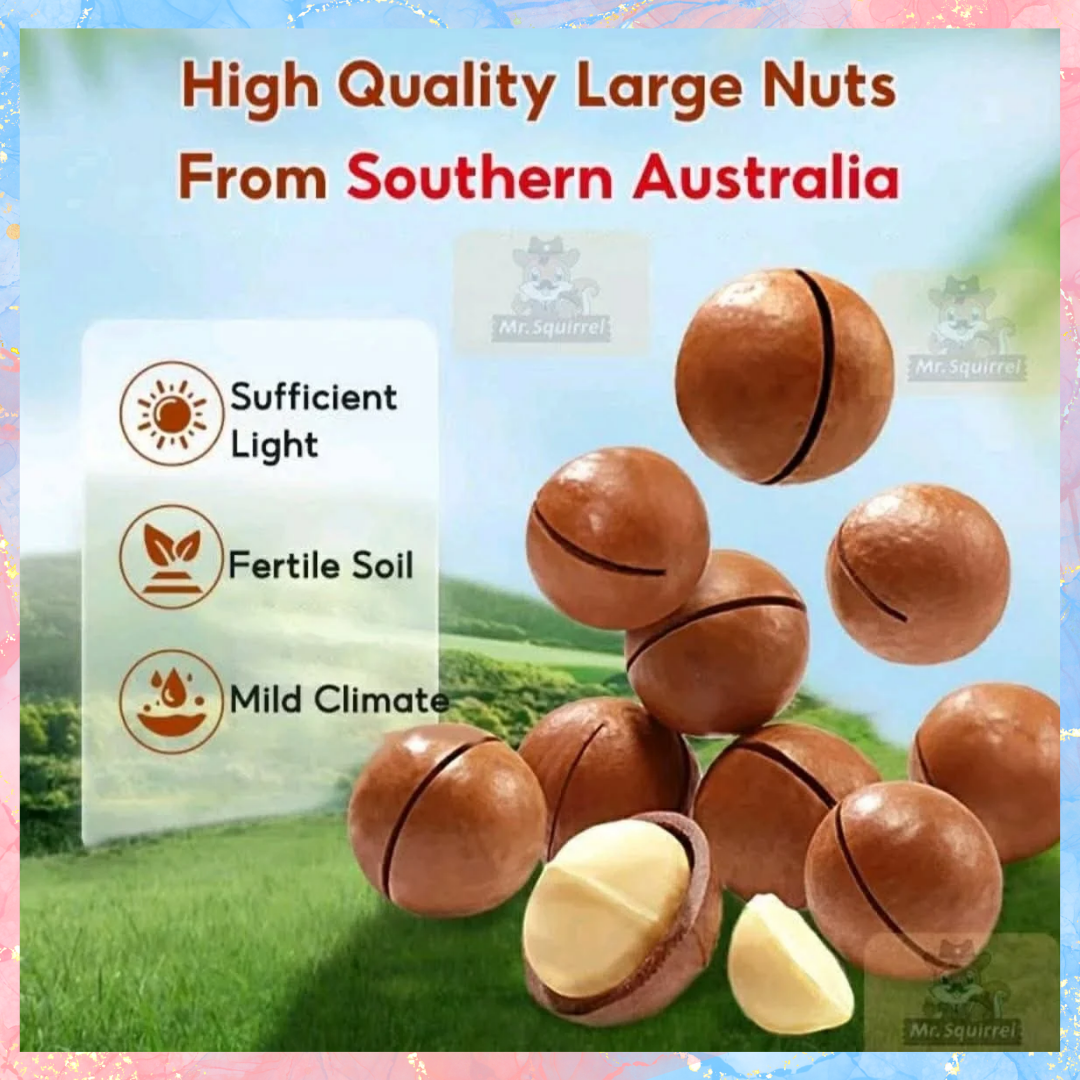 Delicious Macadamia Nuts