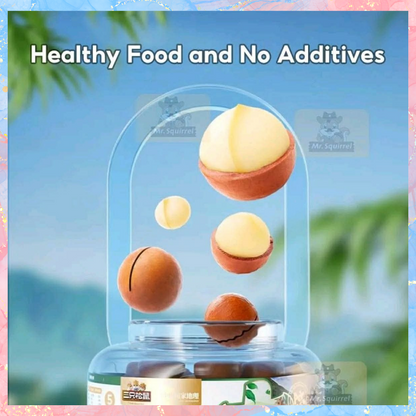 Delicious Macadamia Nuts